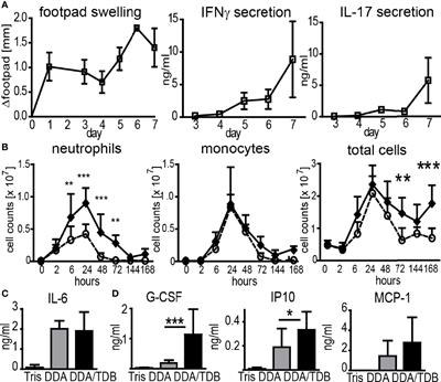 Monocytes Elicit a Neutrophil-Independent Th1/Th17 Response Upon Immunization With a Mincle-Dependent Glycolipid Adjuvant